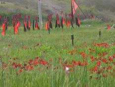 Martyrdom Place in Fath'olmobin